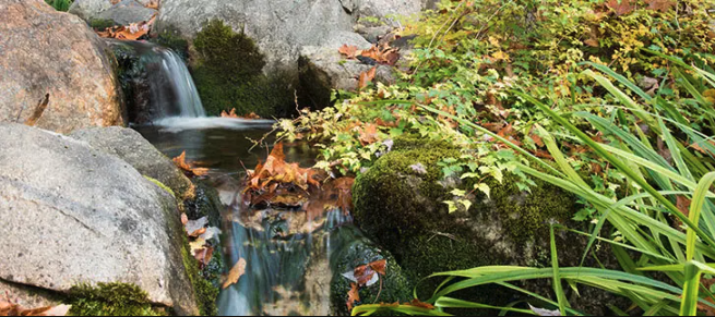 Pond Install